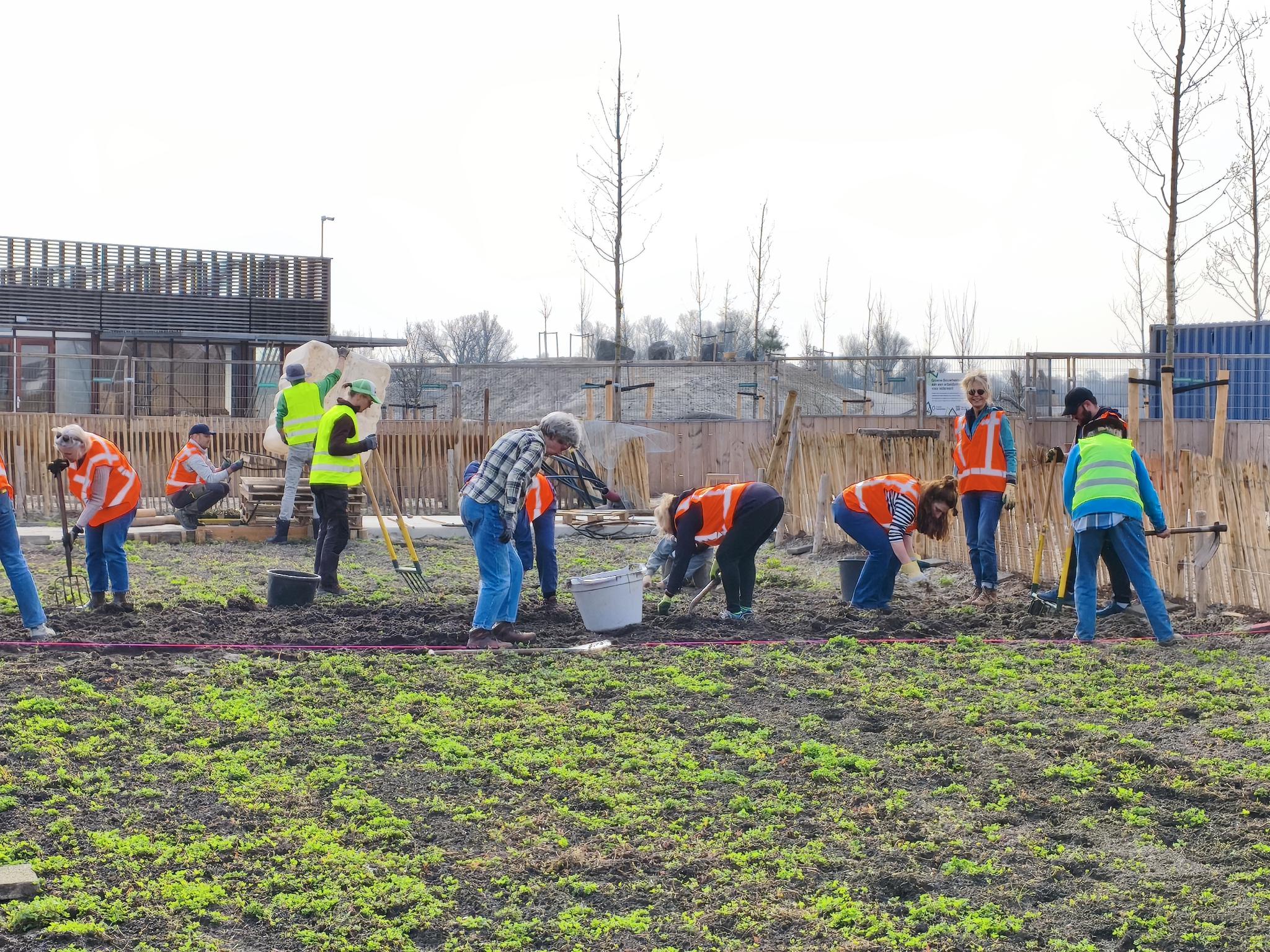 Werken in de tuin